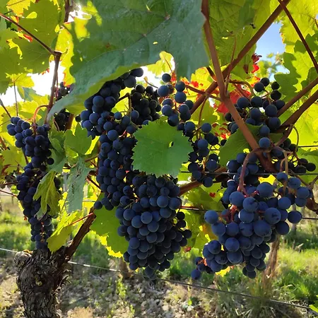 Neubert Im Taubertal Elpersheim